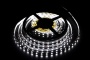 Светодиодная лента SMD 5050  60 диодов на метр IP 33 Холодный белый